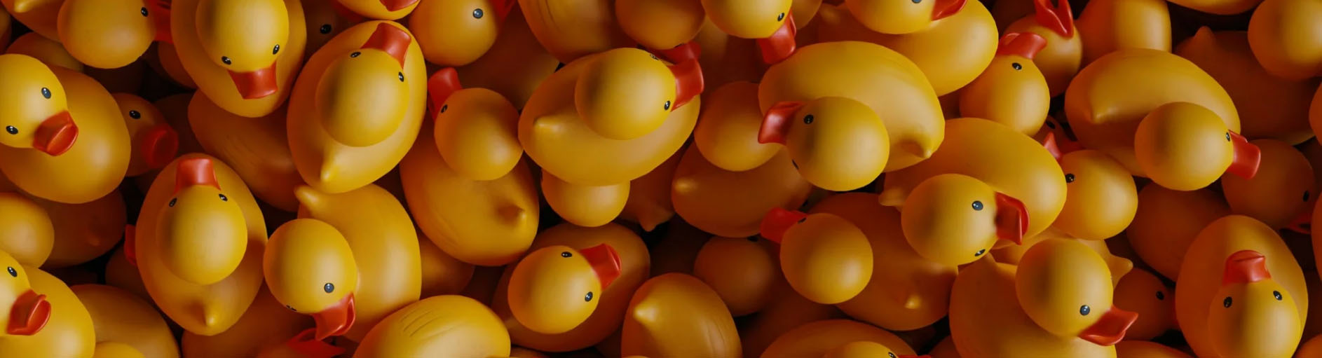 Animalière Décoration Magasin -Animalière Décoration Magasin GHJGHJ