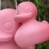 Lampe Canard Rose XL Duck Duck -Animalière Décoration Magasin file 1094