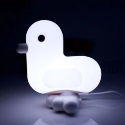 Veilleuse Canar Blanc 8 Veilleuse Canar Blanc -Animalière Décoration Magasin file 1141