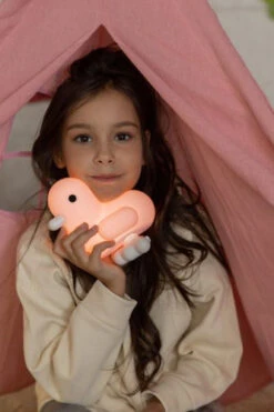 Veilleuse Canar Pastel Rose 17 Veilleuse Canar Pastel Rose -Animalière Décoration Magasin file 1148