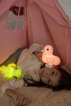 Veilleuse Canar Pastel Rose 18 Veilleuse Canar Pastel Rose -Animalière Décoration Magasin file 1149