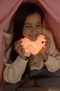 Veilleuse Canar Pastel Rose 19 Veilleuse Canar Pastel Rose -Animalière Décoration Magasin file 1150