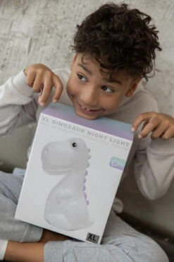 Veilleuse Dinosaure XL -Animalière Décoration Magasin file 1602
