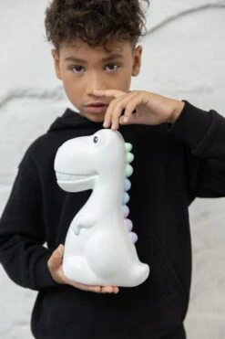 Veilleuse Dinosaure XL -Animalière Décoration Magasin file 1605