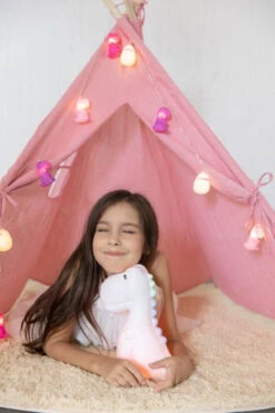 Veilleuse Dinosaure XL -Animalière Décoration Magasin file 1606