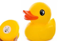 Veilleuse Canard Multicolore -Animalière Décoration Magasin file 1611