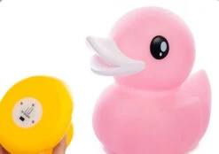 Veilleuse Canard Multicolore -Animalière Décoration Magasin file 1612