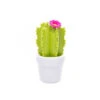Veilleuse Cactus -Animalière Décoration Magasin file 1618