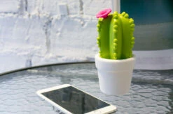 Veilleuse Cactus -Animalière Décoration Magasin file 1621