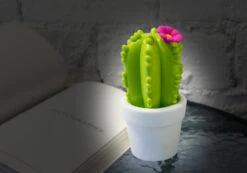 Veilleuse Cactus -Animalière Décoration Magasin file 1623