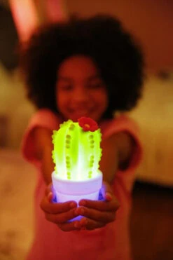 Veilleuse Cactus -Animalière Décoration Magasin file 1625