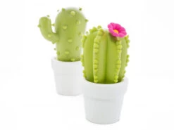 Veilleuse Cactus -Animalière Décoration Magasin file 1626