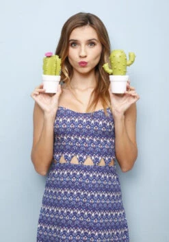 Veilleuse Cactus -Animalière Décoration Magasin file 1627