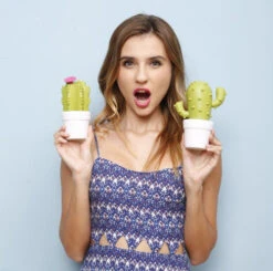 Veilleuse Cactus -Animalière Décoration Magasin file 1628