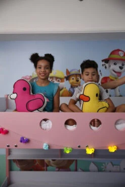 Coussin Canard Marron -Animalière Décoration Magasin file 169