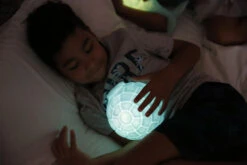 Veilleuse Igloo -Animalière Décoration Magasin file 1706