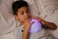 Veilleuse Igloo -Animalière Décoration Magasin file 1708