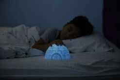 Veilleuse Igloo -Animalière Décoration Magasin file 1710