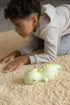 Veilleuse Caméléon -Animalière Décoration Magasin file 1848