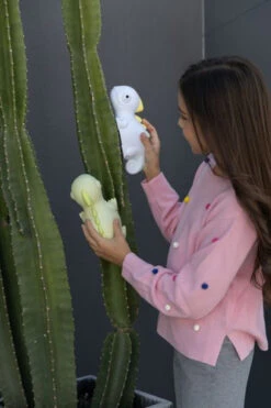 Veilleuse Caméléon -Animalière Décoration Magasin file 1850