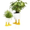 Pot De Fleurs Pattes De Canard