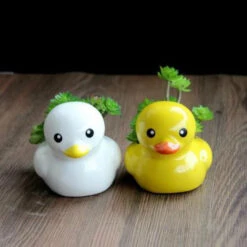 Pot De Fleurs Canard -Animalière Décoration Magasin file 1924