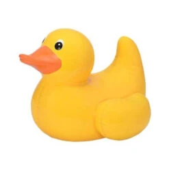 Canard Bouée Tirelire