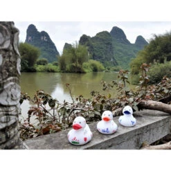 Canard Bicyclette -Animalière Décoration Magasin file 1992