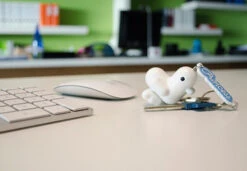 Porte-clés Canar - Candy Edition -Animalière Décoration Magasin file 2162