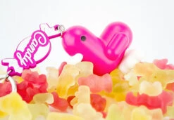 Porte-clés Canar - Candy Edition -Animalière Décoration Magasin file 2171