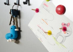 Porte-clés Canar - Fluo Edition -Animalière Décoration Magasin file 2185