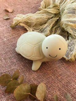 Tortue De Bain -Animalière Décoration Magasin file 2365