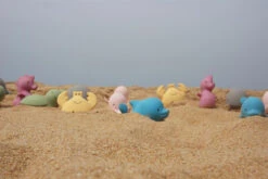 Tortue De Bain -Animalière Décoration Magasin file 2370