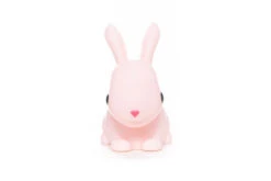 Veilleuse Famille Lapin Rose 21 Veilleuse Famille Lapin Rose -Animalière Décoration Magasin file 2441