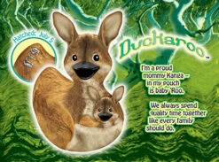 Canard Kangourou -Animalière Décoration Magasin file 2636