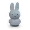 Tirelire Lapin Miffy Bleu Argenté -Animalière Décoration Magasin file 2698