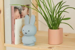 Tirelire Lapin Miffy Bleu Argenté -Animalière Décoration Magasin file 2701