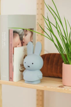 Tirelire Lapin Miffy Bleu Argenté -Animalière Décoration Magasin file 2702