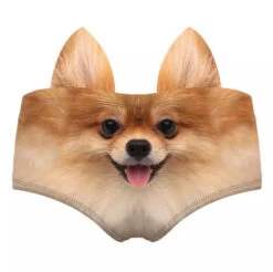 Culotte Sptiz Poméranien Oreilles