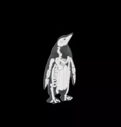 Broche Pingouin Squelette