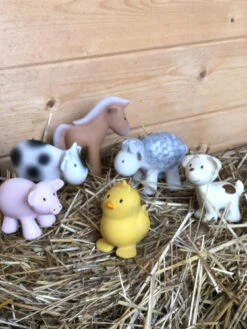 Poussin De Bain -Animalière Décoration Magasin file 3386