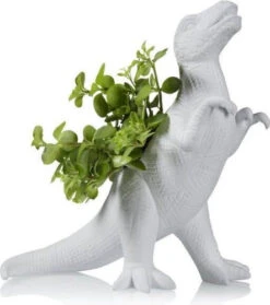 Pot De Fleurs Plantosaurus Rex 12 Pot De Fleurs Plantosaurus Rex -Animalière Décoration Magasin file 3491