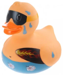 Grand Canard Surfeur