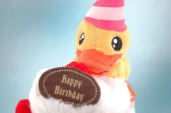 Boite Canard Joyeux Anniversaire -Animalière Décoration Magasin file 3831