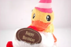 Boite Canard Joyeux Anniversaire -Animalière Décoration Magasin file 3834