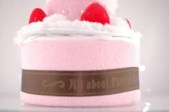 Boite Canard Joyeux Anniversaire -Animalière Décoration Magasin file 3836