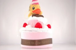 Boite Canard Joyeux Anniversaire -Animalière Décoration Magasin file 3837