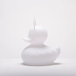 Cochon Docteur 12 Cochon Docteur -Animalière Décoration Magasin file 39