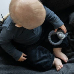 Anneau De Dentition Raton Laveur 9 Anneau De Dentition Raton Laveur -Animalière Décoration Magasin file 4102