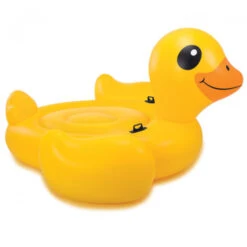 Canard Reine Du Carnaval -Animalière Décoration Magasin file 426